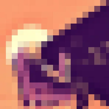 28圈